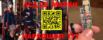 apvp Бийск