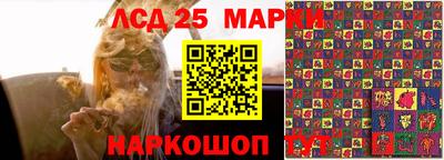 apvp Бийск