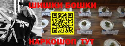 apvp Бийск